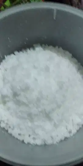 Garam ikan murah
