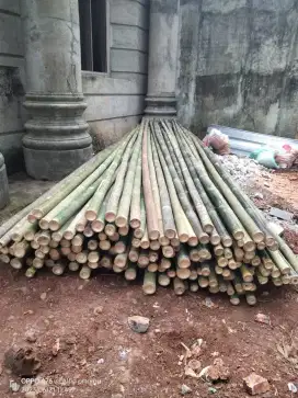 Jual bambu steger 10/12