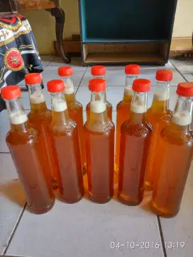 Jual madu lebah