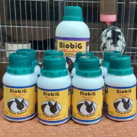 Vitamin kelinci biobig