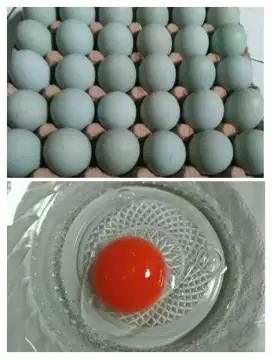 Telur bebek manik merah
