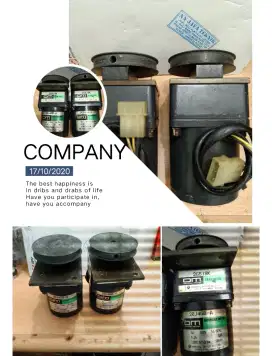 Dinamo girbok oriental motor 4W 100V 1phase
