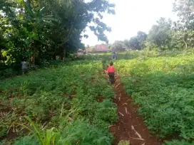 Tanah pekarangan 636 m persegi lokasi strategis dan nyaman