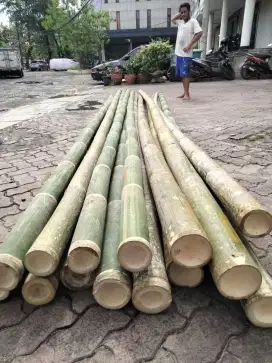 Jual bambu steger kaso triplek