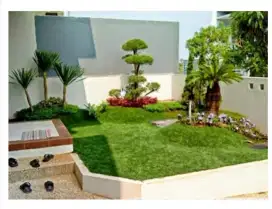 Tukang taman || tanam rumput dan pembuatan taman