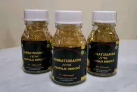 Habbatussauda extra propolis trigona