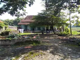 JUAL RUMAH HITUNG TANAH RINGINANYAR PONGGOK BLITAR