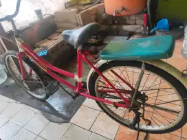 Sepeda cewe uk 24
