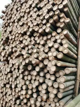 Jual bambu tali dll